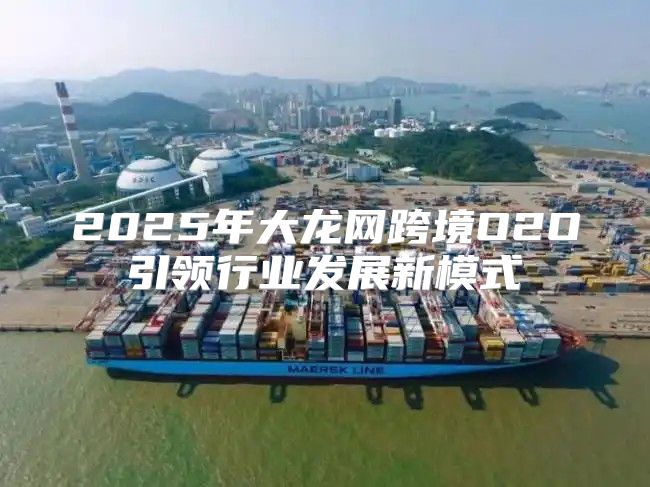 2025年大龙网跨境O2O引领行业发展新模式