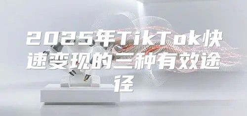 2025年TikTok快速变现的三种有效途径