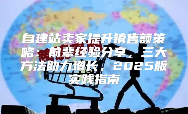 自建站卖家提升销售额策略：前辈经验分享，三大方法助力增长，2025版实践指南