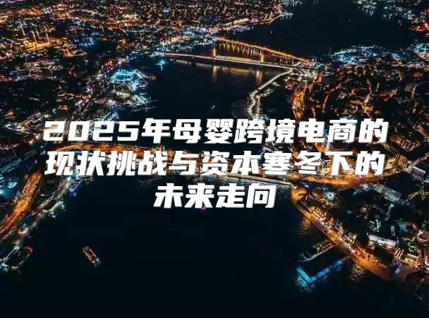 2025年母婴跨境电商的现状挑战与资本寒冬下的未来走向