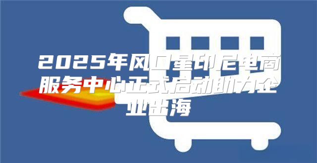 2025年风口星印尼电商服务中心正式启动助力企业出海