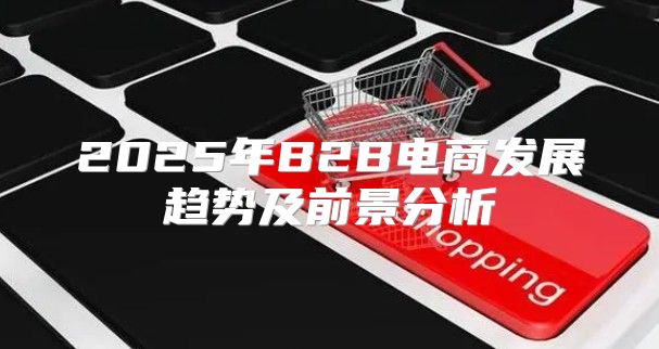 2025年B2B电商发展趋势及前景分析