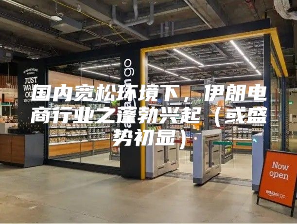 国内宽松环境下，伊朗电商行业之蓬勃兴起或盛势初显