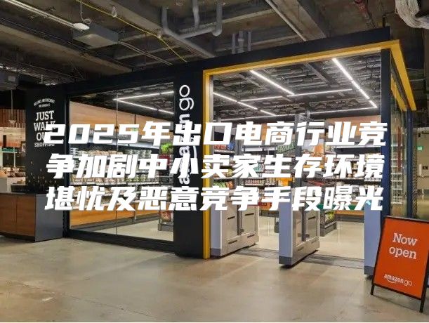 2025年出口电商行业竞争加剧中小卖家生存环境堪忧及恶意竞争手段曝光