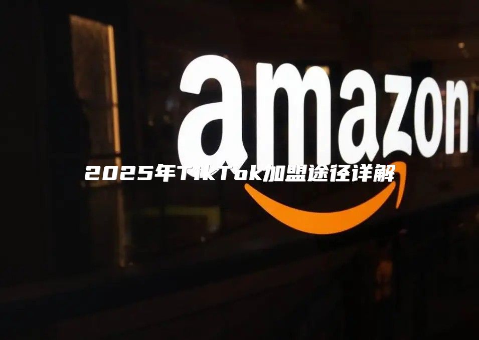 2025年TikTok加盟途径详解