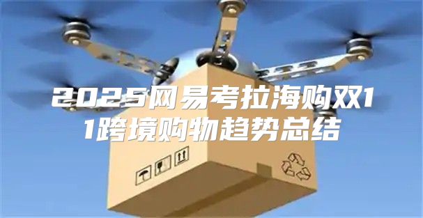 2025网易考拉海购双11跨境购物趋势总结