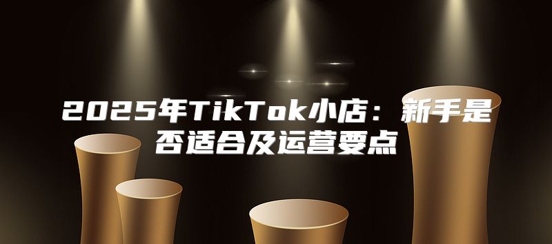 2025年TikTok小店：新手是否适合及运营要点