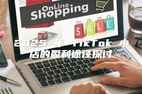 2025 年 TikTok 小店的盈利途径探讨