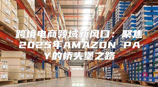跨境电商领域新风口：聚焦2025年AMAZON PAY的桥头堡之路