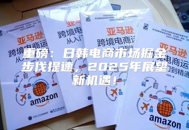 重磅：日韩电商市场掘金步伐提速，2025年展望新机遇！