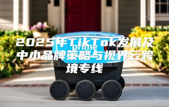 2025年TikTok发展及中小品牌策略与视界云跨境专线