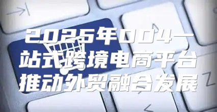 2025年DD4一站式跨境电商平台推动外贸融合发展