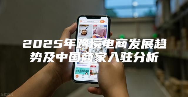 2025年跨境电商发展趋势及中国商家入驻分析