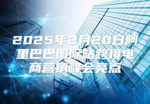 2025年2月20日阿里巴巴国际站跨境电商营销峰会亮点