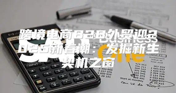 跨境电商B2B外贸迎2025新春潮：发掘新生契机之窗