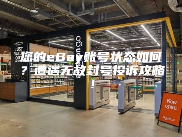 您的eBay账号状态如何？遭遇无故封号投诉攻略！