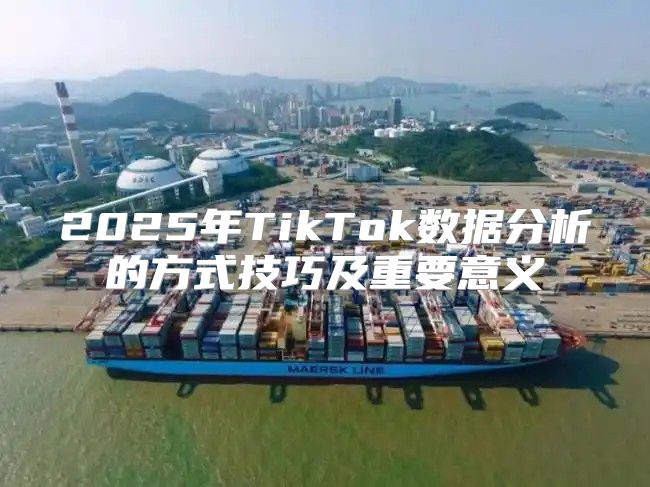 2025年TikTok数据分析的方式技巧及重要意义
