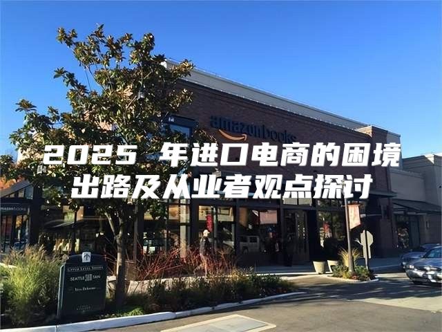 2025 年进口电商的困境出路及从业者观点探讨