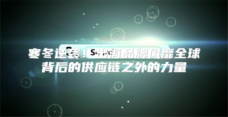 寒冬逆袭！出海品牌风靡全球背后的供应链之外的力量