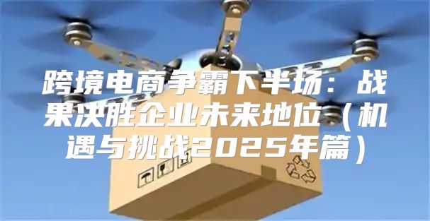 跨境电商争霸下半场：战果决胜企业未来地位机遇与挑战2025年篇