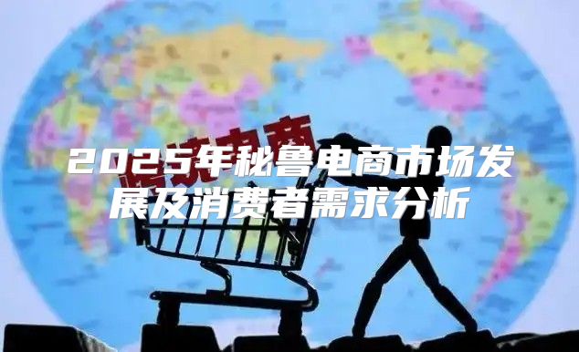 2025年秘鲁电商市场发展及消费者需求分析