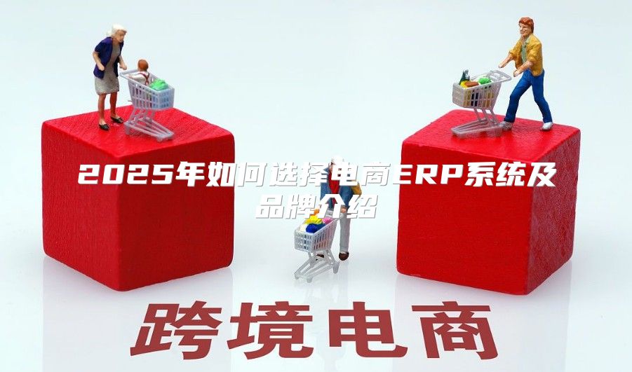 2025年如何选择电商ERP系统及品牌介绍
