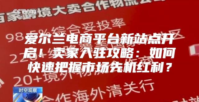 爱尔兰电商平台新站点开启！卖家入驻攻略：如何快速把握市场先机红利？