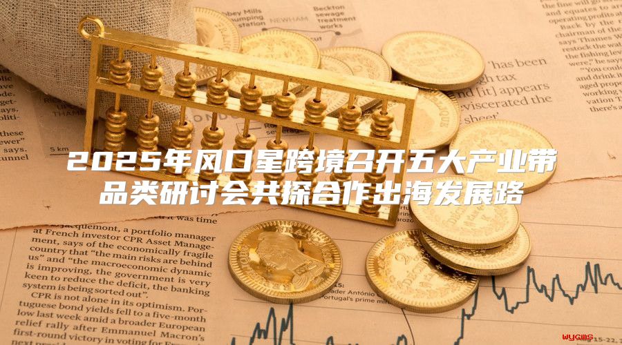 2025年风口星跨境召开五大产业带品类研讨会共探合作出海发展路