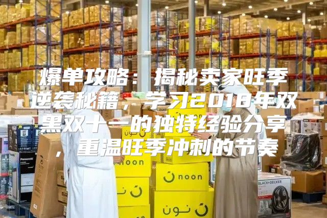 爆单攻略：揭秘卖家旺季逆袭秘籍，学习2018年双黑双十一的独特经验分享，重温旺季冲刺的节奏