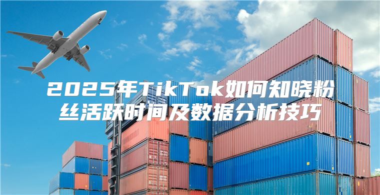 2025年TikTok如何知晓粉丝活跃时间及数据分析技巧