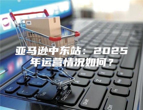 亚马逊中东站：2025年运营情况如何？