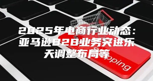 2025年电商行业动态：亚马逊B2B业务突进乐天调整布局等