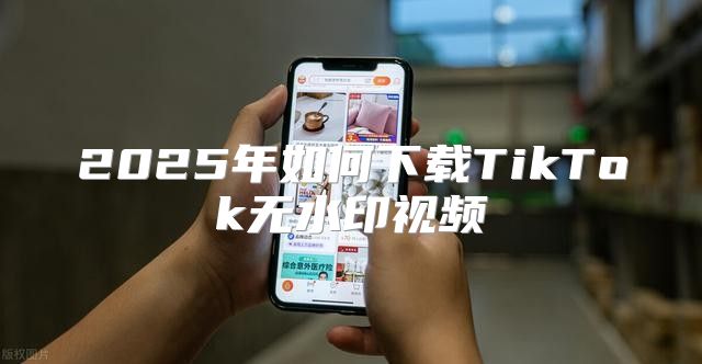 2025年如何下载TikTok无水印视频