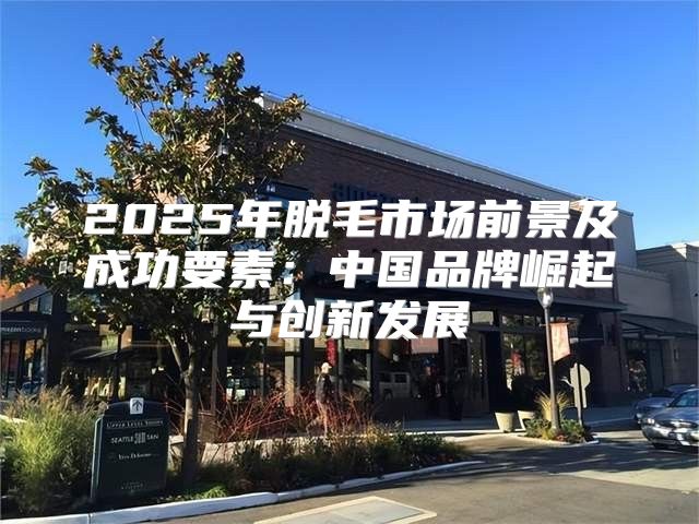 2025年脱毛市场前景及成功要素：中国品牌崛起与创新发展