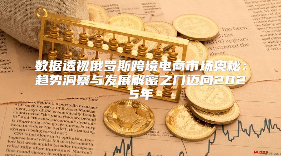 数据透视俄罗斯跨境电商市场奥秘：趋势洞察与发展解密之门迈向2025年