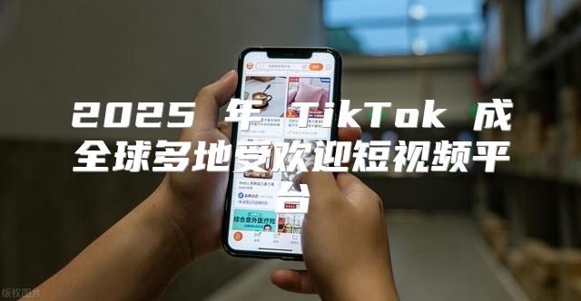 2025 年 TikTok 成全球多地受欢迎短视频平台