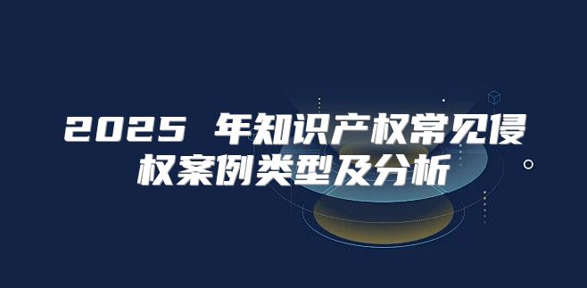 2025 年知识产权常见侵权案例类型及分析