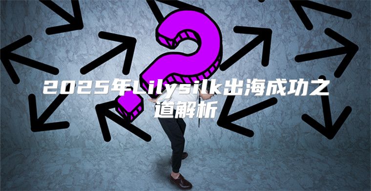 2025年Lilysilk出海成功之道解析