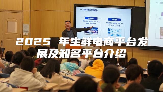 2025 年生鲜电商平台发展及知名平台介绍