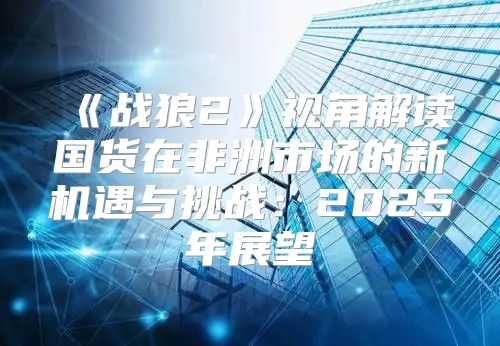 战狼2视角解读国货在非洲市场的新机遇与挑战：2025年展望