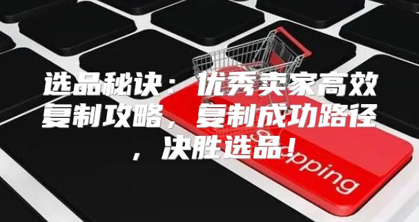 选品秘诀：优秀卖家高效复制攻略，复制成功路径，决胜选品！