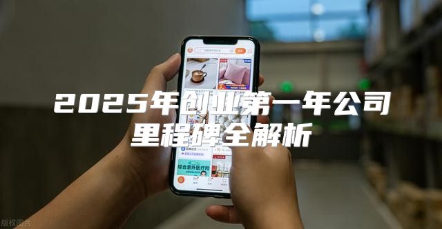 2025年创业第一年公司里程碑全解析