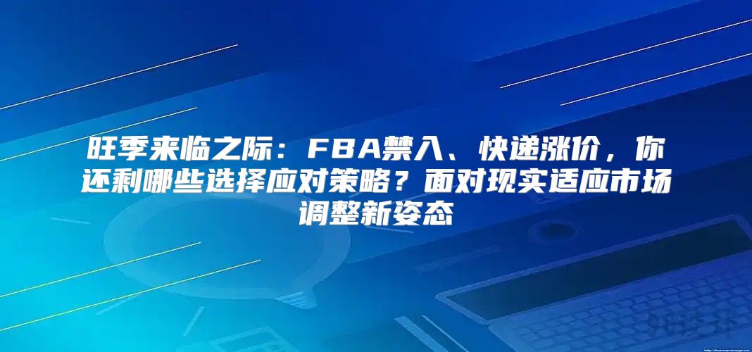 旺季来临之际：FBA禁入、快递涨价，你还剩哪些选择应对策略？面对现实适应市场调整新姿态