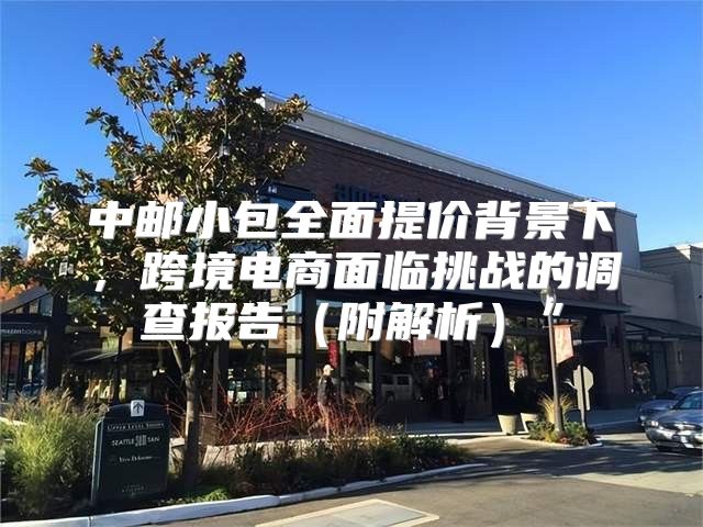 中邮小包全面提价背景下，跨境电商面临挑战的调查报告附解析”
