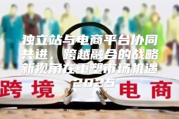 独立站与电商平台协同共进，跨越融合的战略新视角在重塑市场机遇 2025