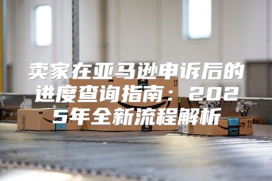 卖家在亚马逊申诉后的进度查询指南：2025年全新流程解析