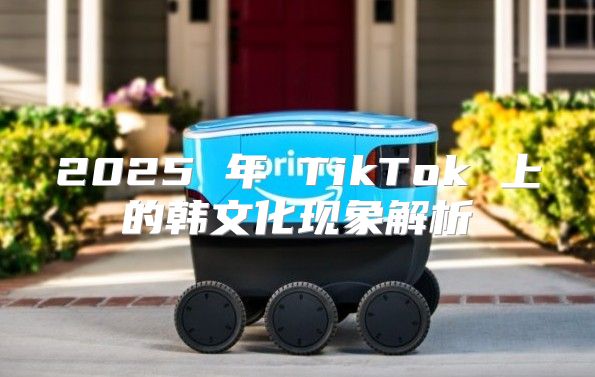 2025 年 TikTok 上的韩文化现象解析
