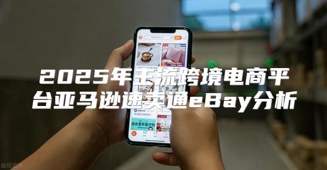 2025年主流跨境电商平台亚马逊速卖通eBay分析