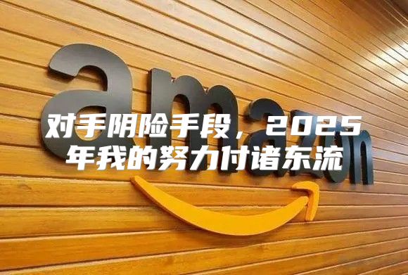 对手阴险手段，2025年我的努力付诸东流