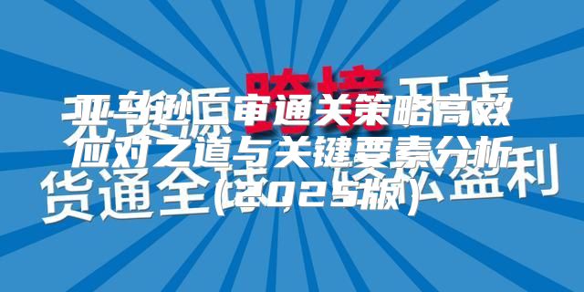 亚马逊二审通关策略高效应对之道与关键要素分析2025版